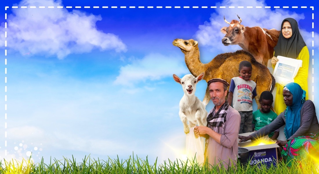Intro image